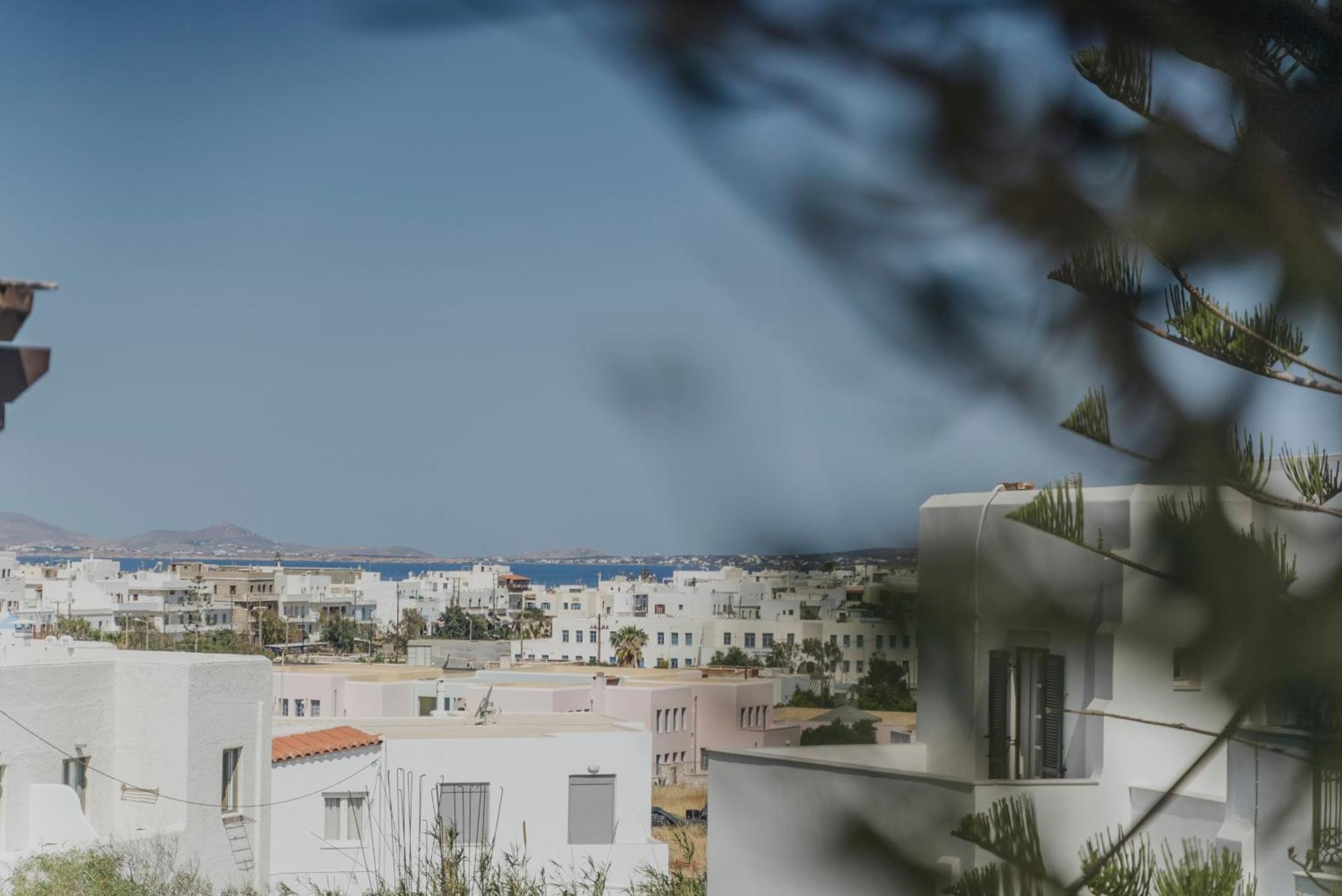 Golden Bird'S Aparthotel Naxos City Bagian luar foto